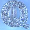 "Q" Rhinestone Charm